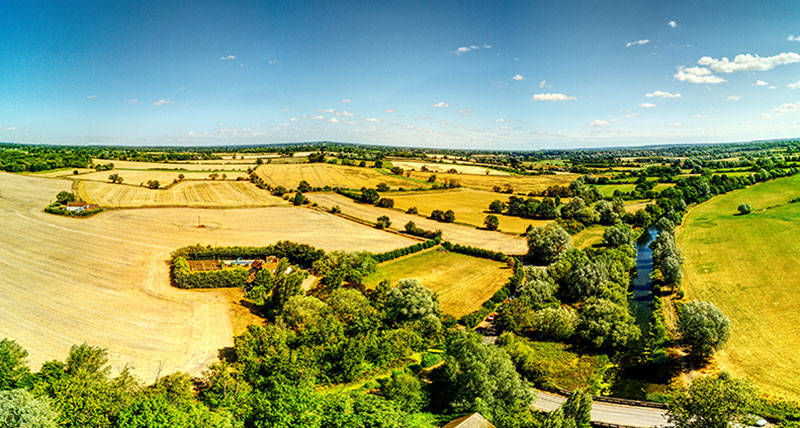 Another Success Story: Safe Eviction and Removal of Live Animals and Goods from Green Belt Land in Essex